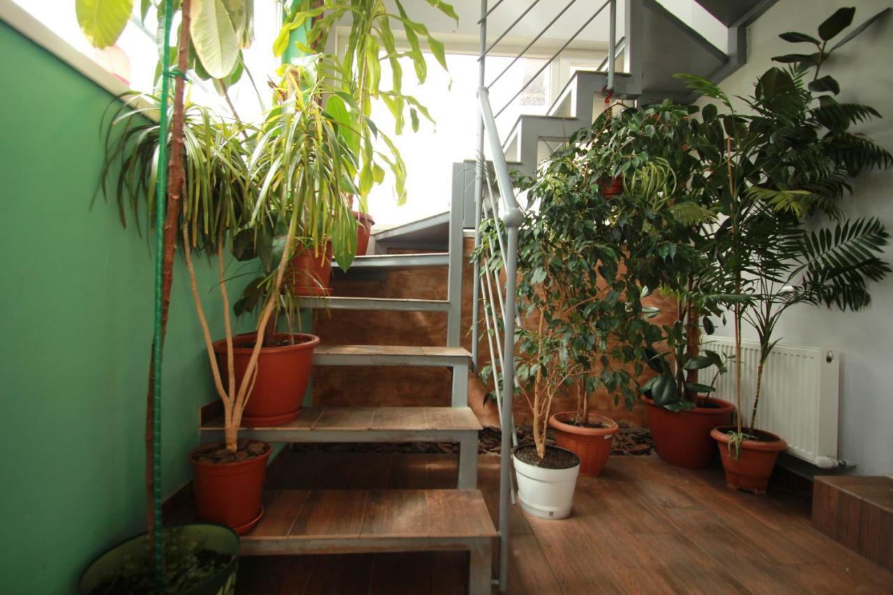Garden Eco Design Hotel Odessza Kültér fotó